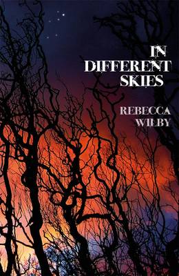 Book cover for In Different Skies