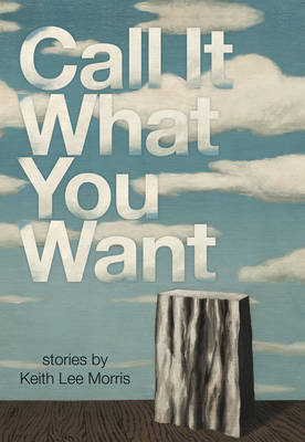 Book cover for Call It What You Want