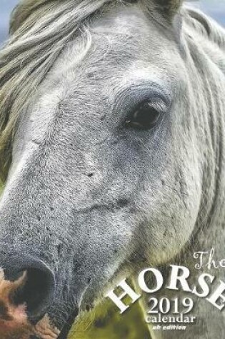 Cover of The Horse 2019 Calendar (UK Edition)