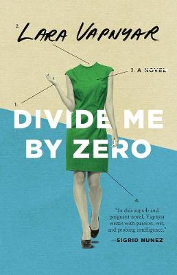 Book cover for Divide Me by Zero