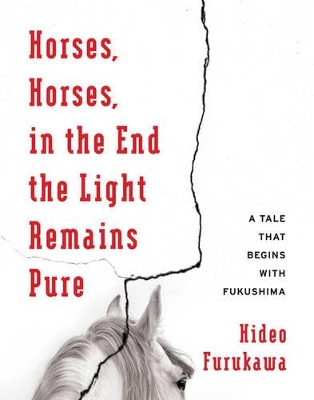 Book cover for Horses, Horses, in the End the Light Remains Pure