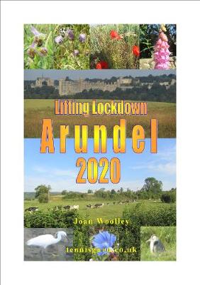 Book cover for Lifting Lockdown Arundel 2020