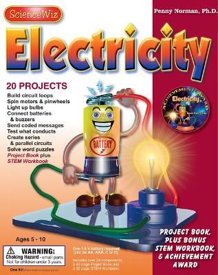 Book cover for Stem Club Set: Electricity