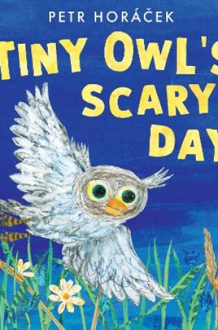 Cover of Tiny Owl's Scary Day