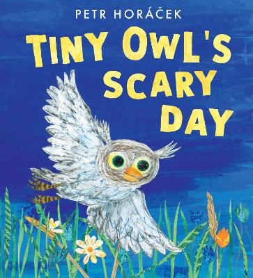 Book cover for Tiny Owl's Scary Day