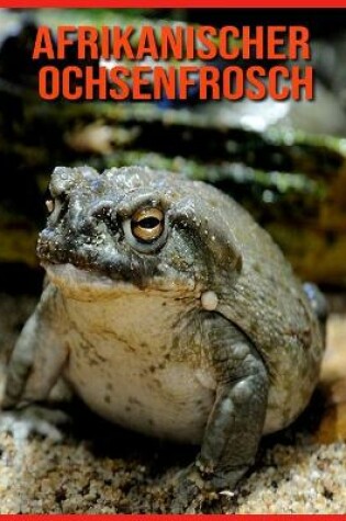 Cover of Afrikanischer Ochsenfrosch