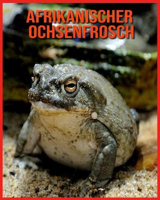 Book cover for Afrikanischer Ochsenfrosch