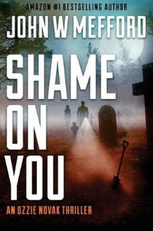 Cover of Shame on You