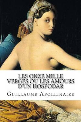 Book cover for Les Onze mille verges ou les Amours d'un hospodar