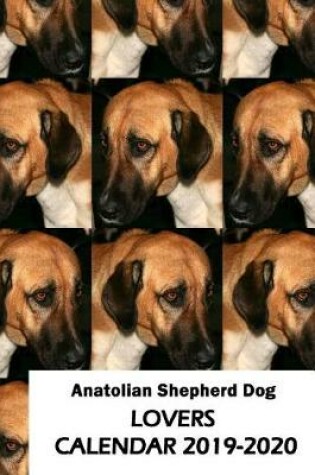 Cover of Anatolian Shepherd Dog Lovers Calendar 2019-2020