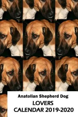 Book cover for Anatolian Shepherd Dog Lovers Calendar 2019-2020