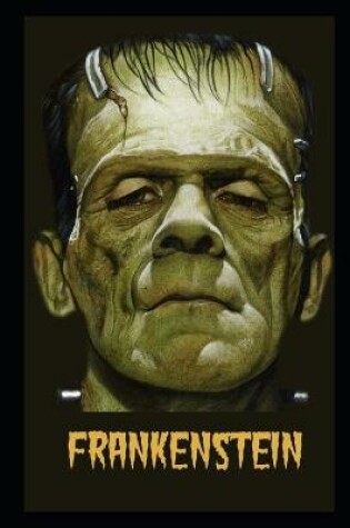 Cover of Frankenstein Annotated Book For Children