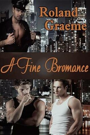 Cover of A Fine Bromance