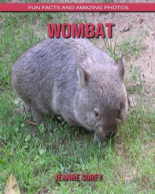 Book cover for Wombat