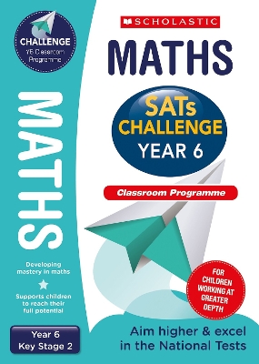 Book cover for Maths Challenge Classroom Programme Pack (Year 6)