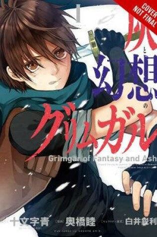 Cover of Grimgar of Fantasy and Ash, Vol. 2 (manga)