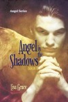 Book cover for Angel in the Shadows, Book 1 by Lisa Grace