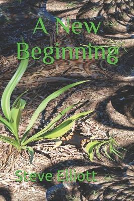 Book cover for A New Beginning