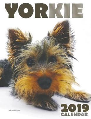 Book cover for Yorkie 2019 Calendar (UK Edition)