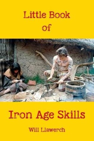 Cover of Little book of Iron Age Skills