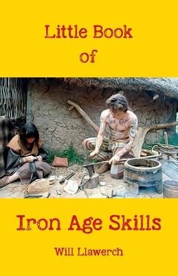 Book cover for Little book of Iron Age Skills