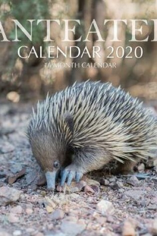 Cover of Anteater Calendar 2020