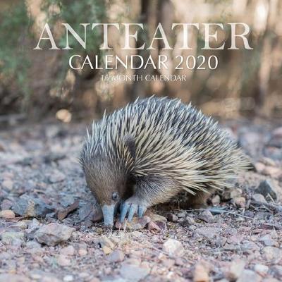 Book cover for Anteater Calendar 2020