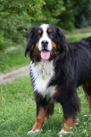 Cover of Bernese Mountain Dog Looking at You Journal