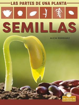Book cover for Semillas (Seeds)