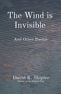 Book cover for The Wind is Invisible