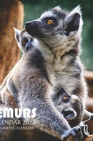 Cover of Lemurs Calendar 2021