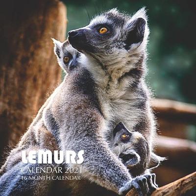 Book cover for Lemurs Calendar 2021