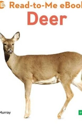 Cover of Deer