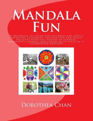 Book cover for Mandala Fun Condensed Edition