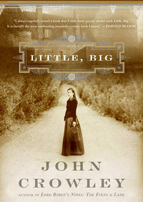 Book cover for Little, Big (Part 1)(Library)