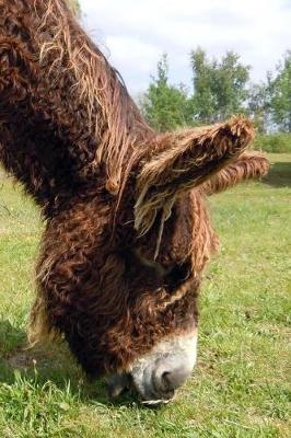 Book cover for Adorable Shaggy Donkey Portrait Journal