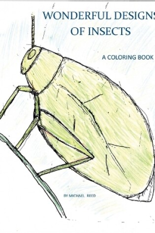 Cover of Wonderful Designs of Insects