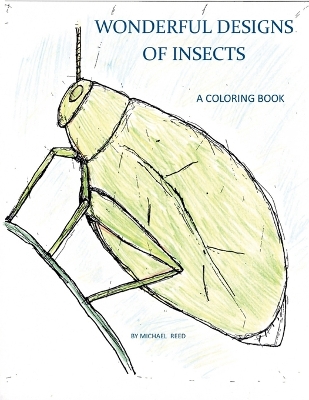 Book cover for Wonderful Designs of Insects