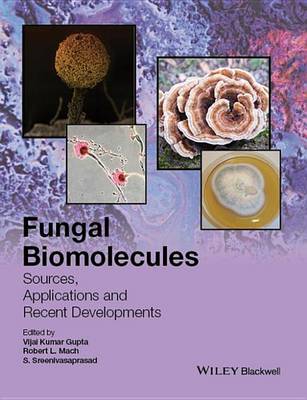 Cover of Fungal Biomolecules