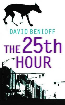 Book cover for The 25th Hour