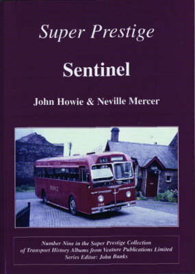 Book cover for Sentinel