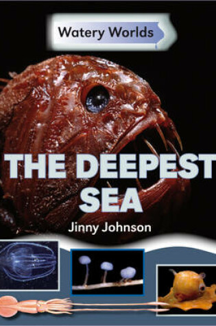 Cover of The Deepest Sea