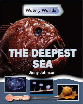 Book cover for The Deepest Sea