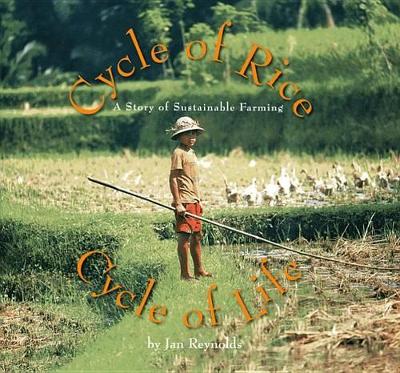 Book cover for Cycle of Rice, Cycle of Life