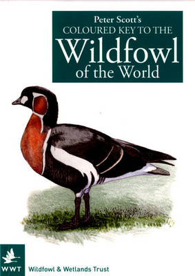 Book cover for Peter Scott's Coloured Key to the Wildfowl of the World