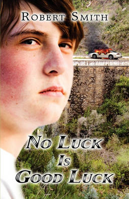 Book cover for No Luck Is Good Luck