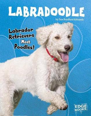 Cover of Labradoodle