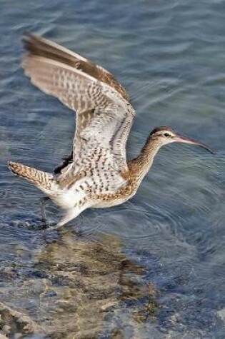 Cover of Long-Billed Curlew Bird Journal (Numenius Americanus)