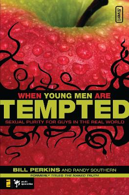 Book cover for When Young Men Are Tempted