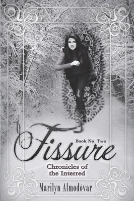 Book cover for Fissure